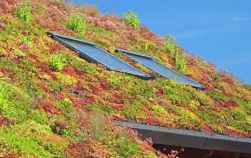 Gribun living roof systems