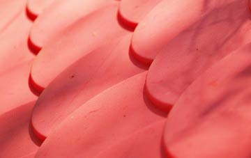 Gribun plastic roof costs